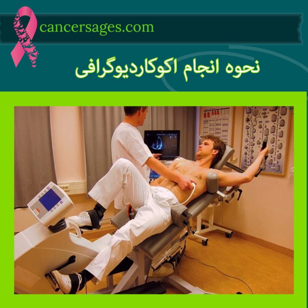 نحوه انجام اکوکاردیوگرافی